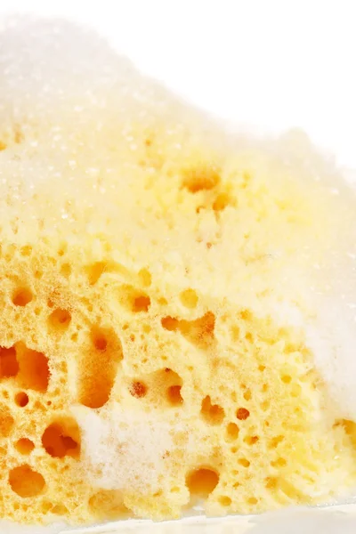 Natural sponge with foam — Stock Photo, Image