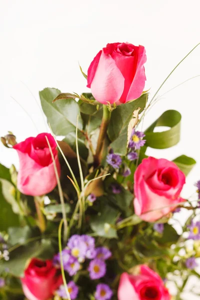 Nice flowers — Stock Photo, Image