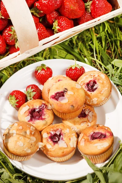 Muffin estivi — Foto Stock