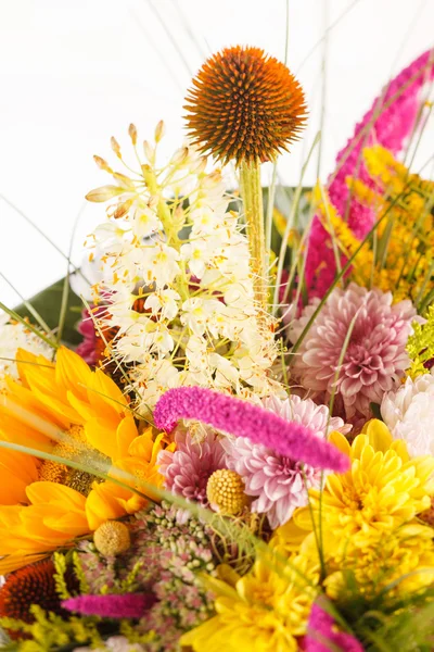 Boeket van kleurrijke bloemen — Stockfoto