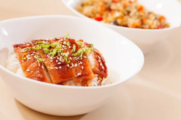 Ål på ris, unaju, japanska unagi rätter — Stockfoto