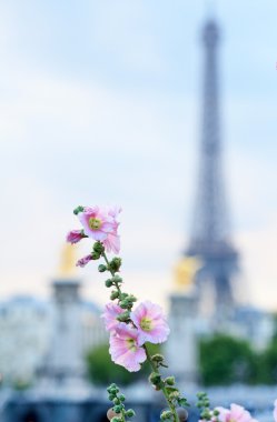 Eyfel Kulesi Paris bahar