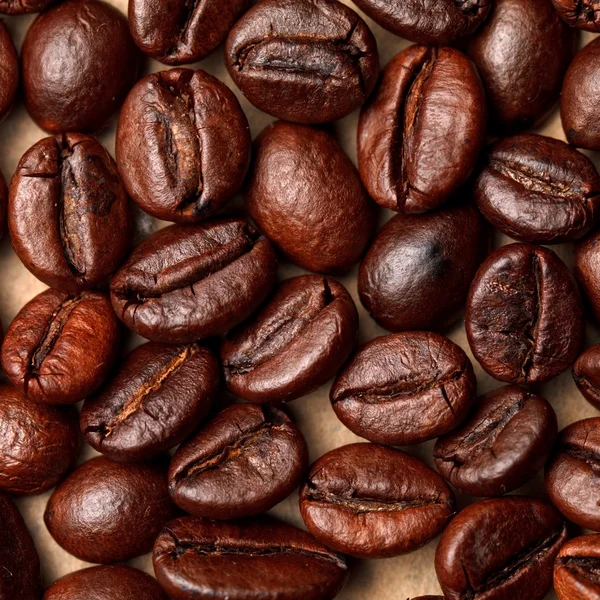 Coffee beans — Stock Photo, Image