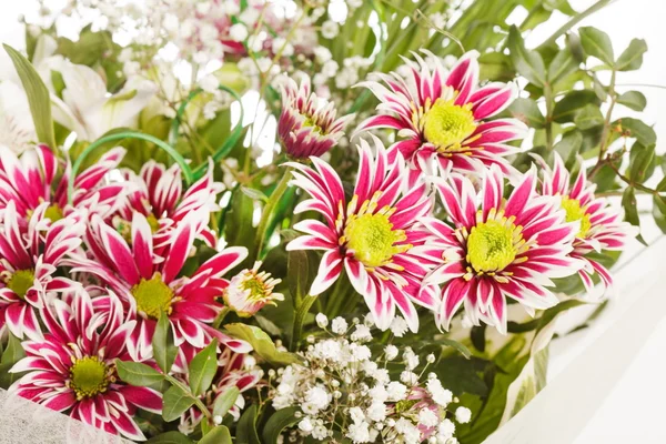 Boeket van kleurrijke bloemen — Stockfoto