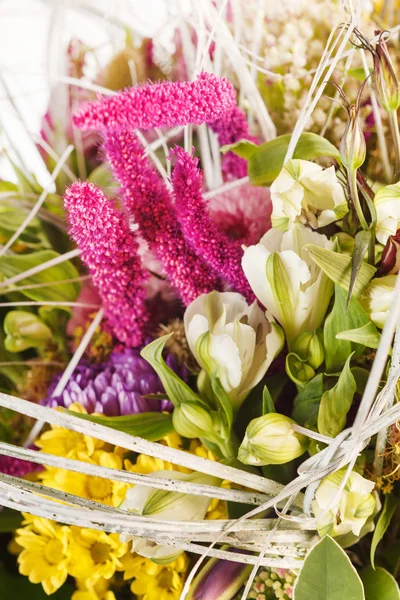 Pěkné květiny — Stock fotografie