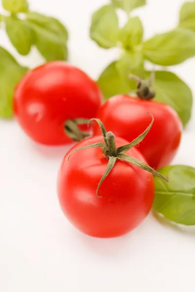 Tomatoes and basil — Stock Photo, Image