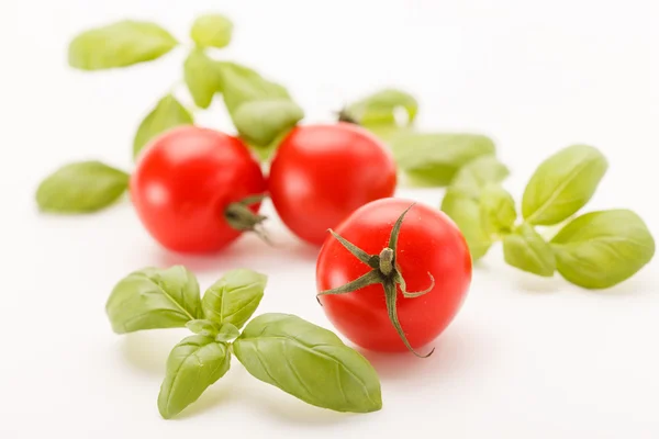 Tomates e manjericão — Fotografia de Stock