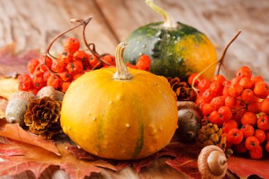 sonbahar yaprakları ile hasat kabaklar