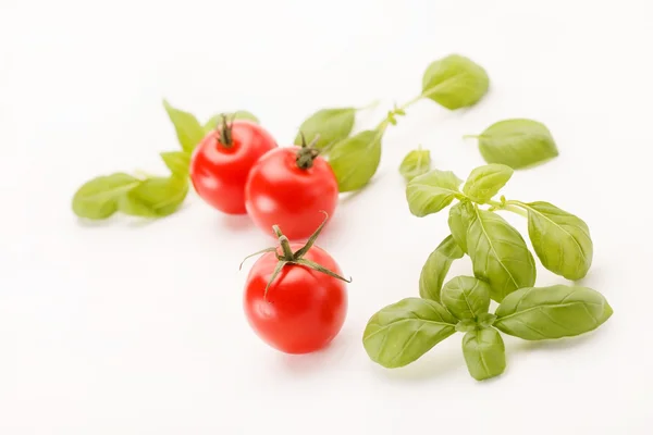 Tomatoes and basil — Stock Photo, Image