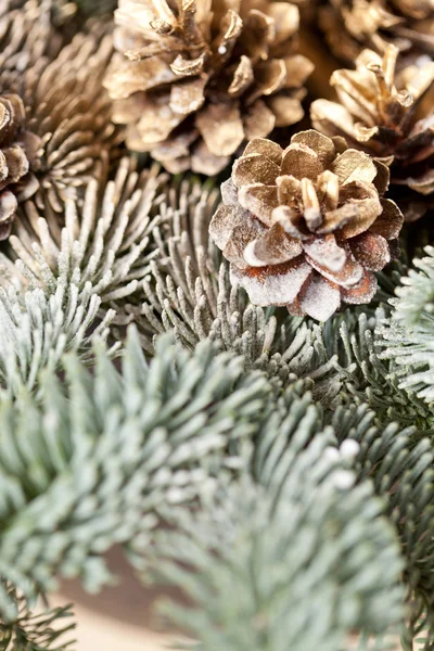 Árbol de Navidad — Foto de Stock