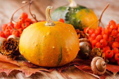 sonbahar yaprakları ile hasat kabaklar