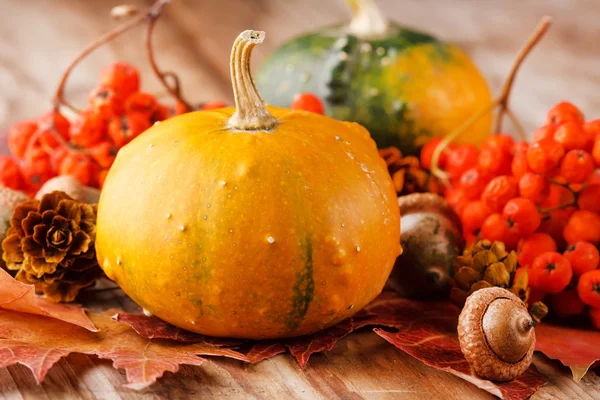 Harvested pumpkins with fall leaves — Stock Photo, Image