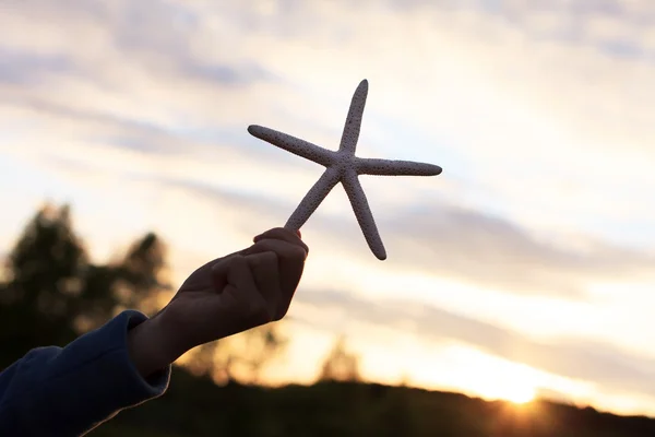 Girl holding a starfish — Stock Photo, Image