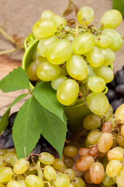 Wine sampling — Stock Photo, Image