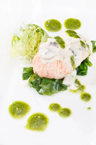 Filetto di salmone in salsa di panna — Foto Stock