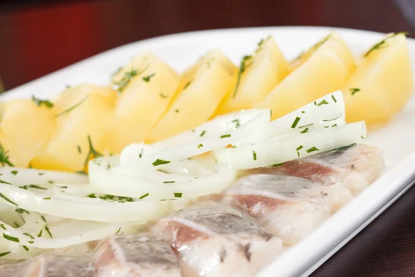 Russian herring salad — Stock Photo, Image