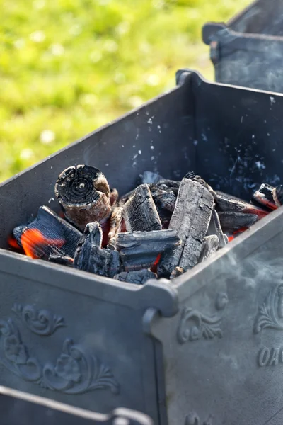 Barbecue in the garden — Stock Photo, Image