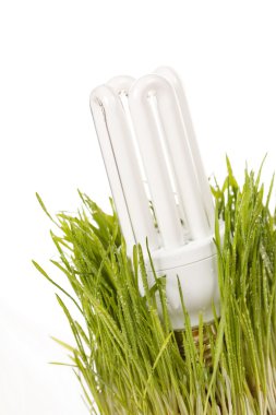 bir çim üzerinde ampul