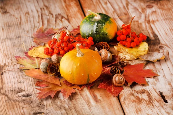 Abóboras colhidas com folhas de outono — Fotografia de Stock