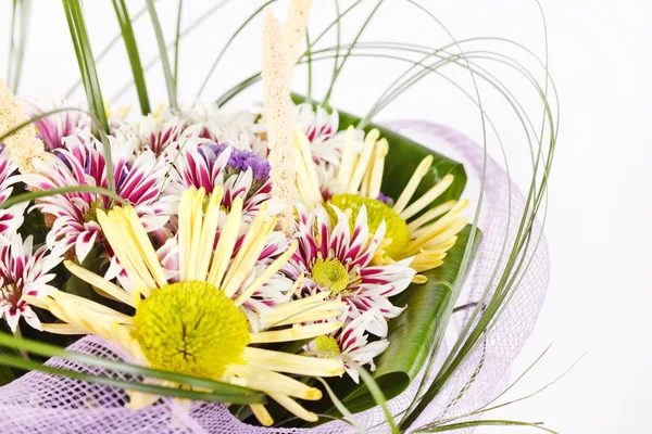 Nice flowers — Stock Photo, Image