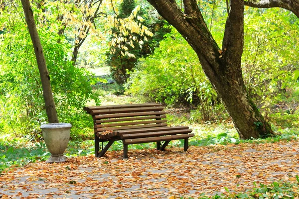 Sonbaharda şehir parkı