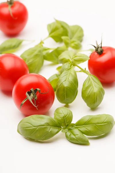 Tomatoes and basil — Stock Photo, Image