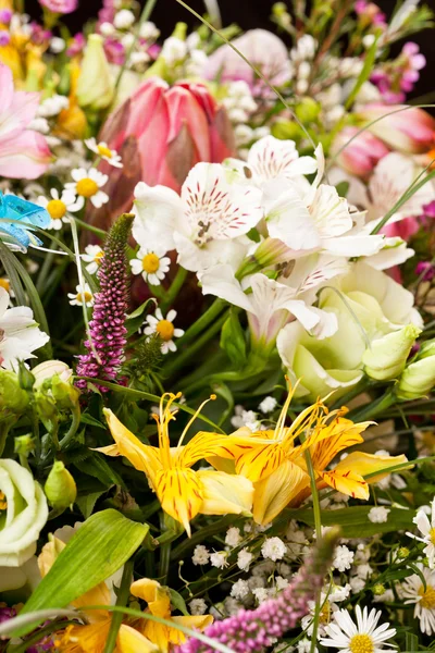 Bukett av färgglada blommor — Stockfoto