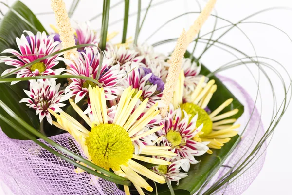 Schöne Blumen — Stockfoto