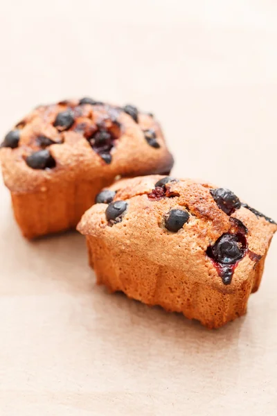 Pasteles de grosella negra — Foto de Stock