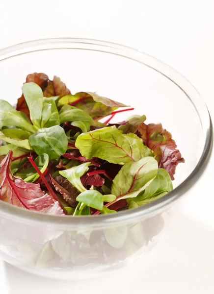 Fresh salad — Stock Photo, Image