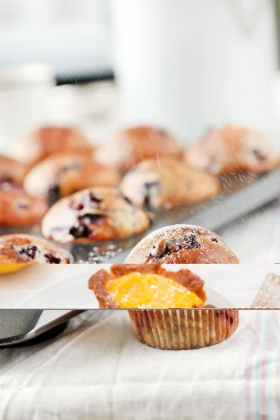 Bosbessen muffins — Stockfoto
