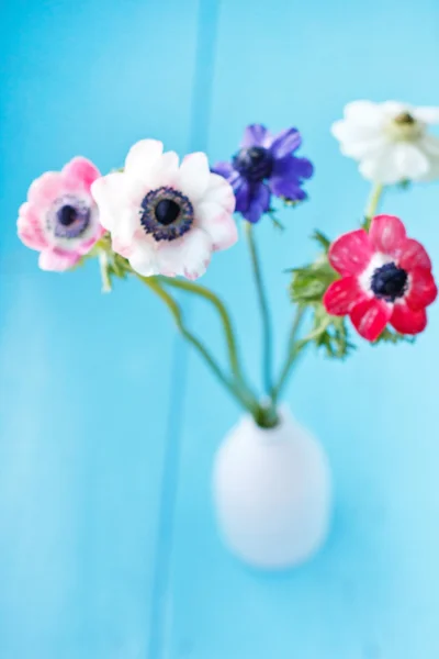 Fleurs d'anémone — Photo