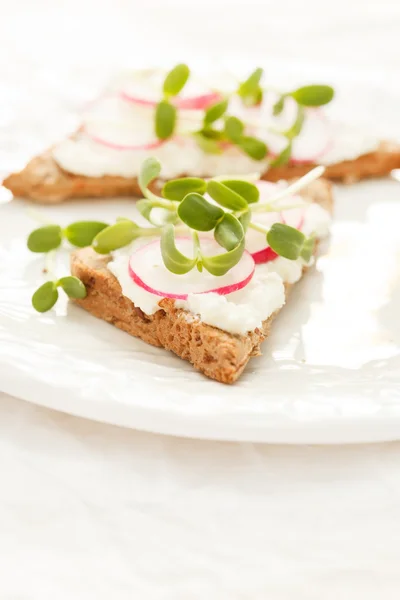 Ayçiçeği ve turp lahanası ile sandviçler — Stok fotoğraf