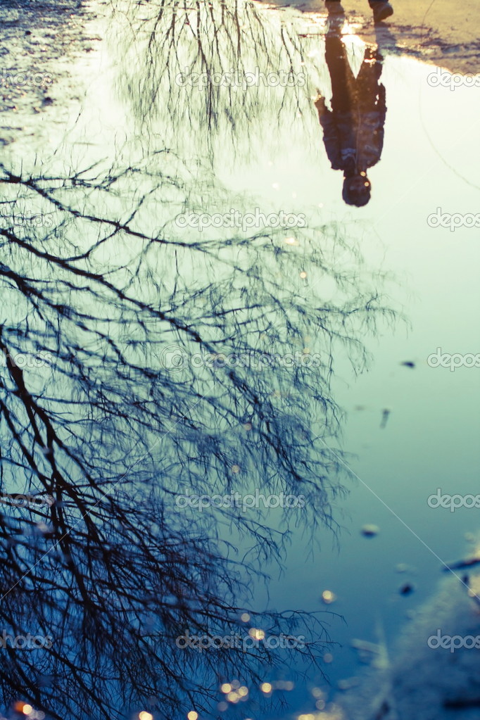 Tree Reflecting on Water