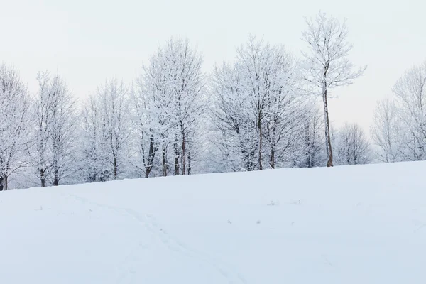 Paesaggio invernale — Foto Stock