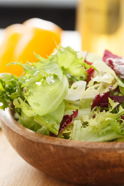 Salada de primavera — Fotografia de Stock