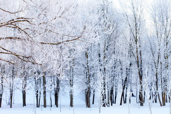 Paisaje invierno — Foto de Stock