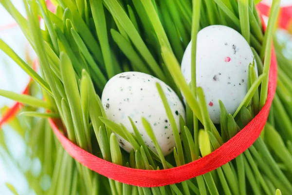 Easter eggs — Stock Photo, Image