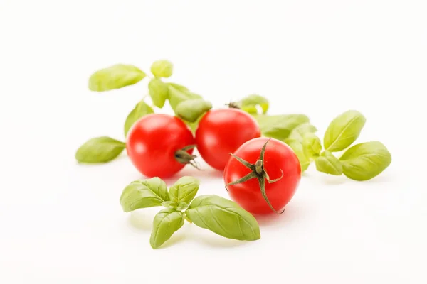 Tomatoes and basil Royalty Free Stock Photos