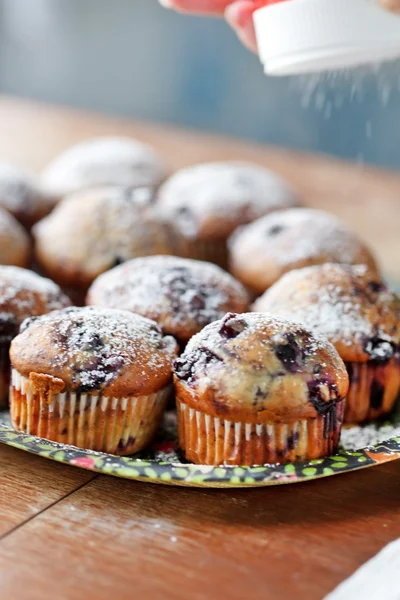 Bosbessen muffins — Stockfoto