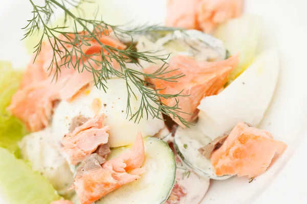 Salad with salmon — Stock Photo, Image