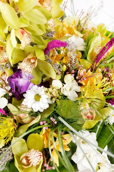 Beautiful bouquet — Stock Photo, Image