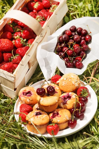 Summer muffins — Stock Photo, Image