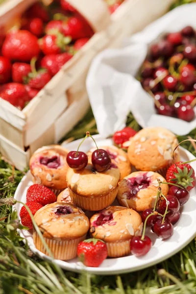 Summer muffins — Stock Photo, Image