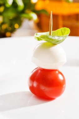 domates ve mozzarella