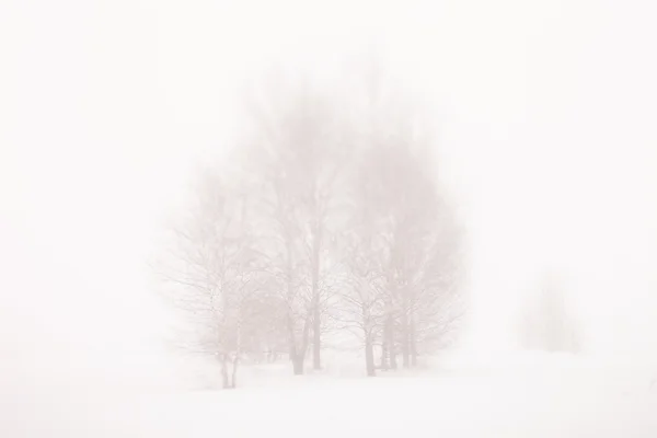 雪景 — 图库照片