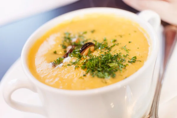 Meeresfrüchtecremesuppe — Stockfoto