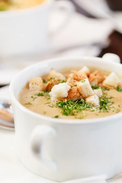 Champignoncremesuppe — Stockfoto