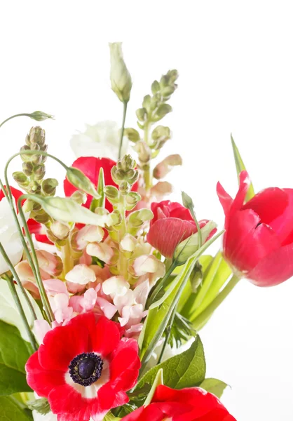 Spring flowers — Stock Photo, Image