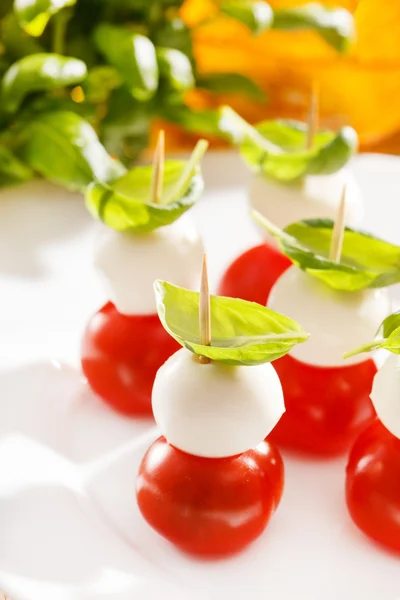 Tomaten und Mozzarella — Stockfoto